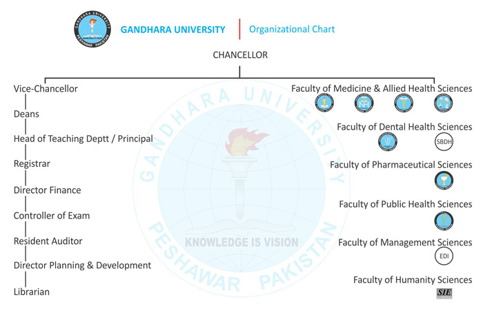 Organizational Structure